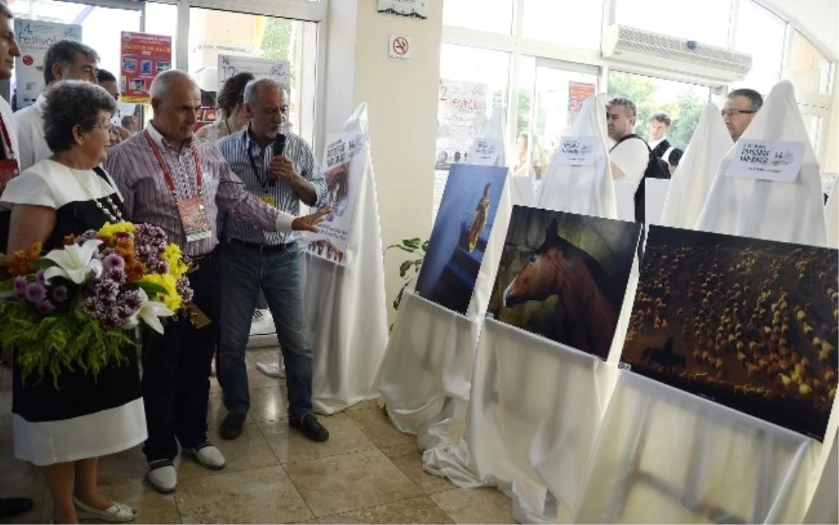 Büyükçekmece Kültür ve Sanat Festivali Yapıldı