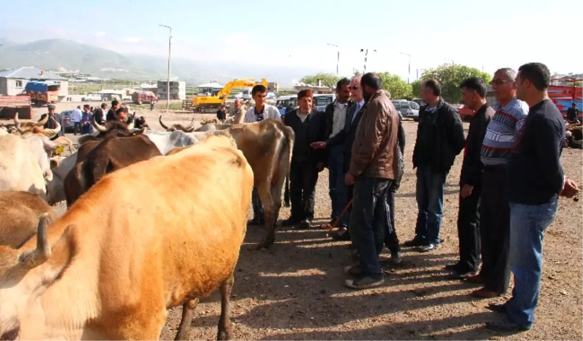 CHP Ardahan Milletvekili Ensar Öğüt Açıklaması