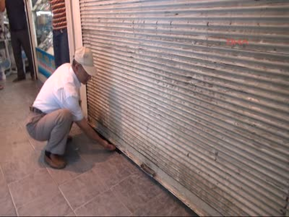 Kediyi Kurtarmak İçin Seferber Oldular