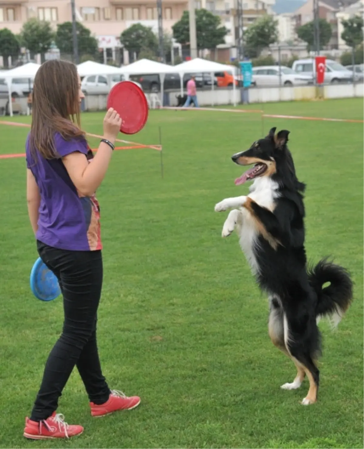 Köpek Irkları Nilüfer\'de Yarıştı