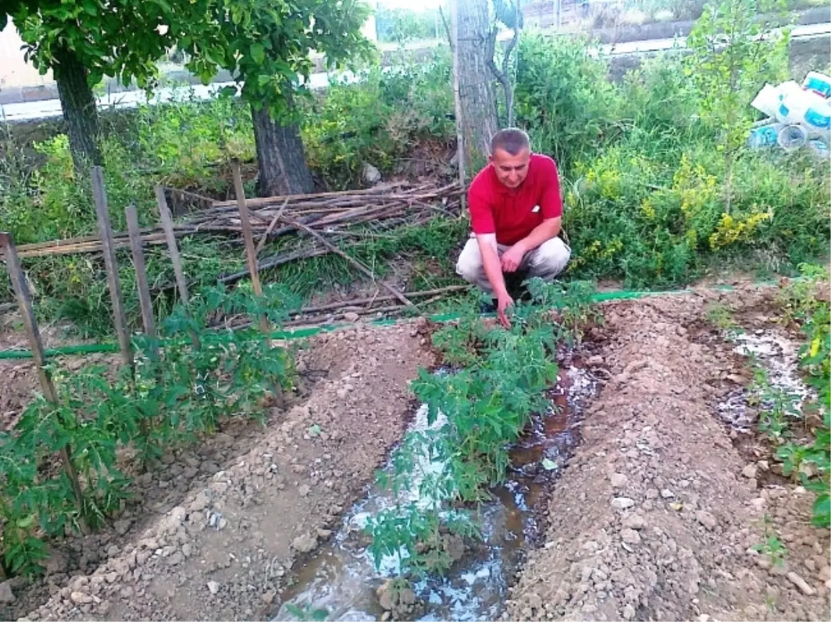 Sebze Sulamak İçin Kanal Suyu Yerine Şebeke Suyu Kullanıyorlar