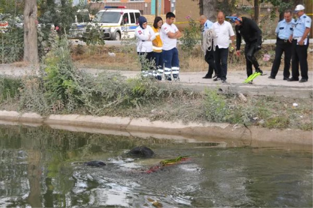 Sulama Kanalına Uçan Otomobilin Sürücüsü Öldü