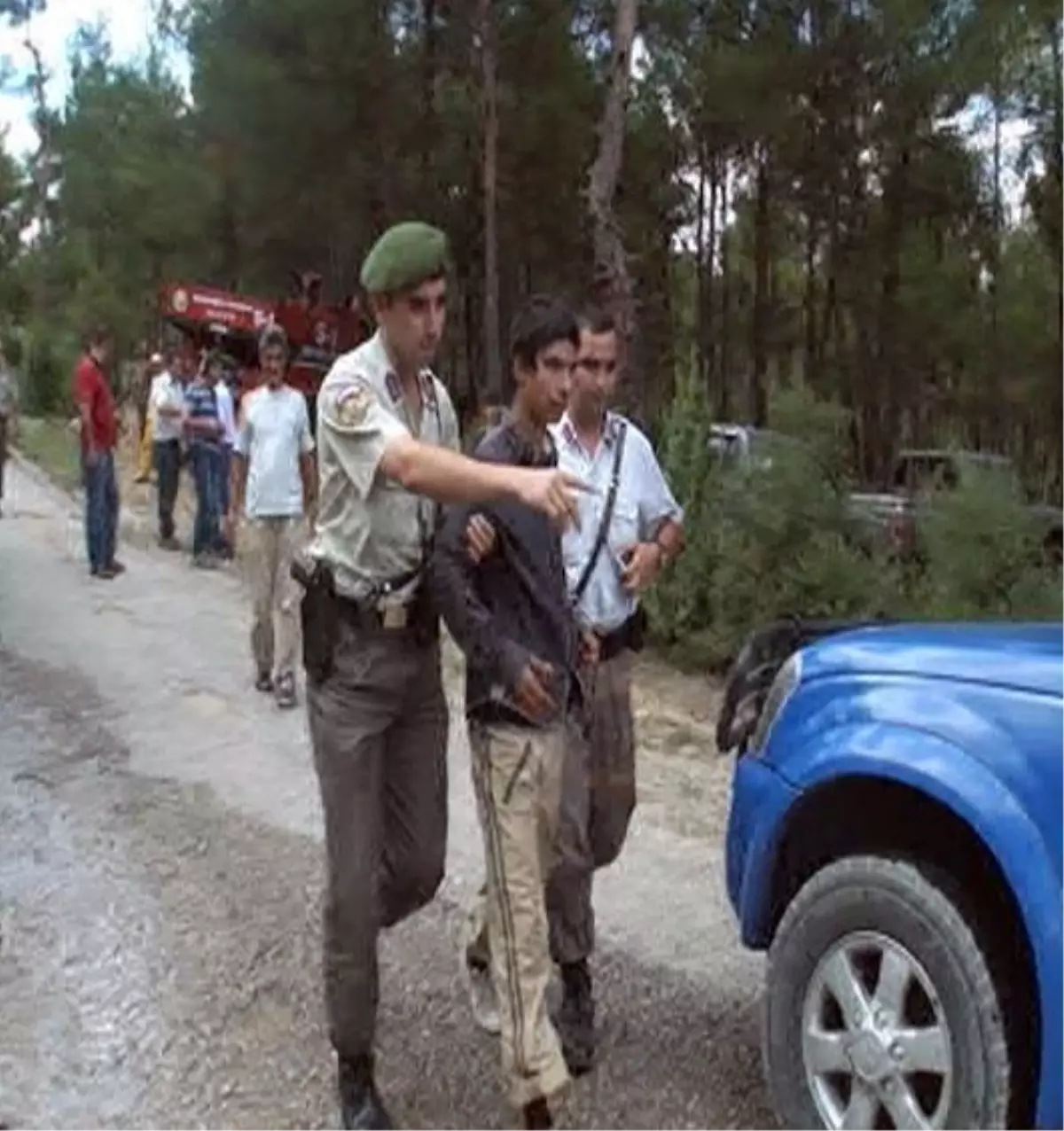 Yeğenleri Tutuklanınca Ormanı Ateşe Verdiler