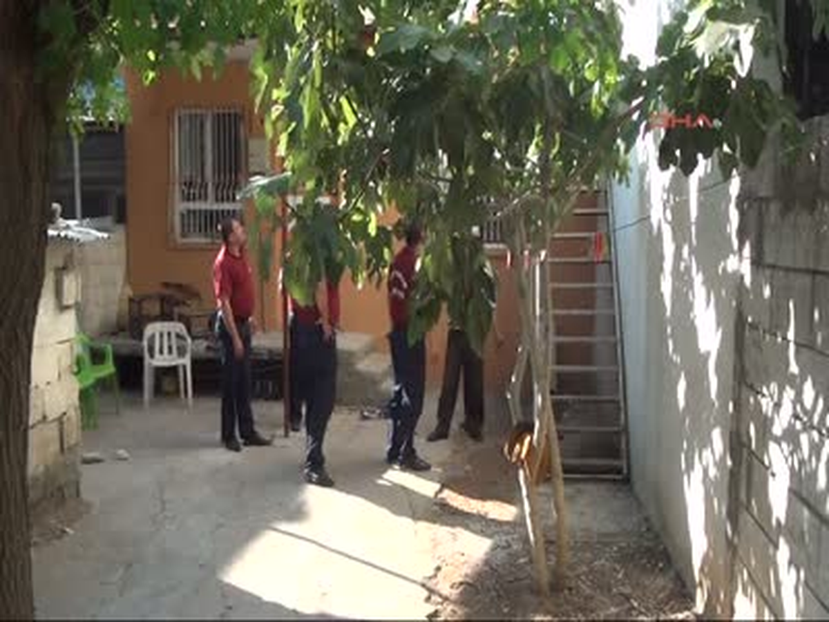 Yılan İhbarı Heyecan Yaşattı