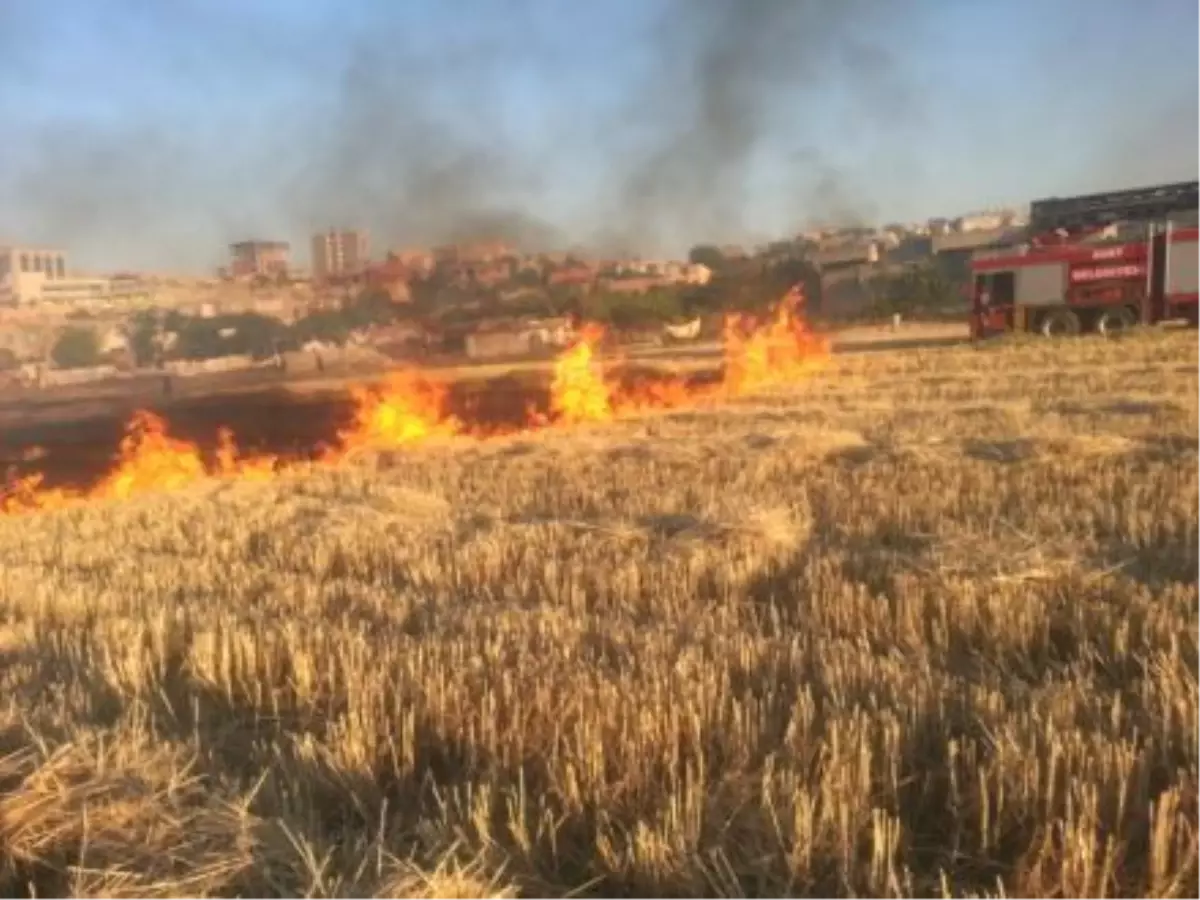 Anız Yangını Zincirleme Kazaya Neden Oldu