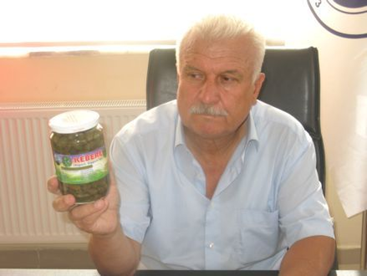 Araban\'da Kapari Tarımı