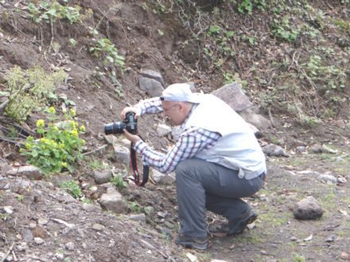 Artvin\'in Bin 864 Bitkisi Kitapta Toplanacak