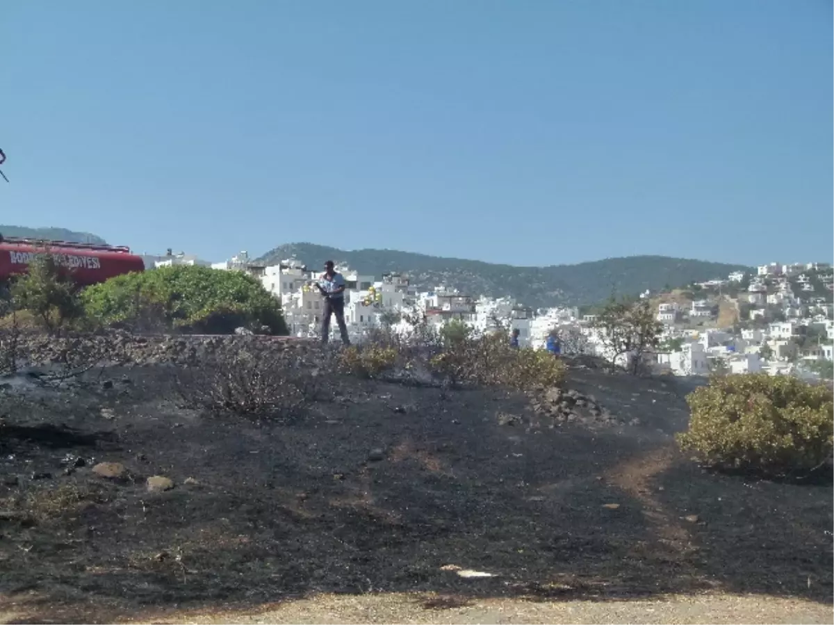 Bodrum\'da Çıkan Yangın Turistleri Korkuttu