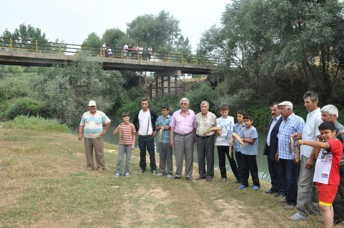 Deredeki Balık Ölümlerine Valilik El Koydu