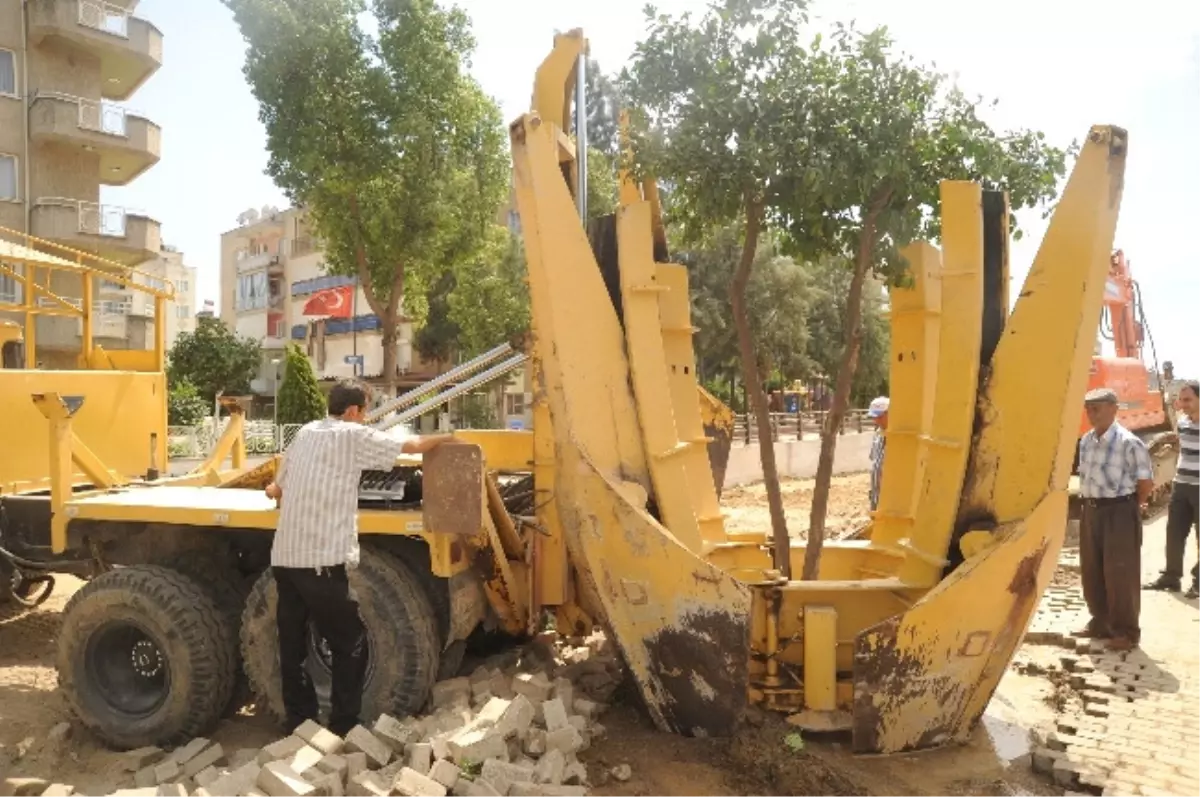 Aydın İstasyon Bulvarındaki Battı-Çıktı Hattındaki Ağaçlar Yaşatılacak