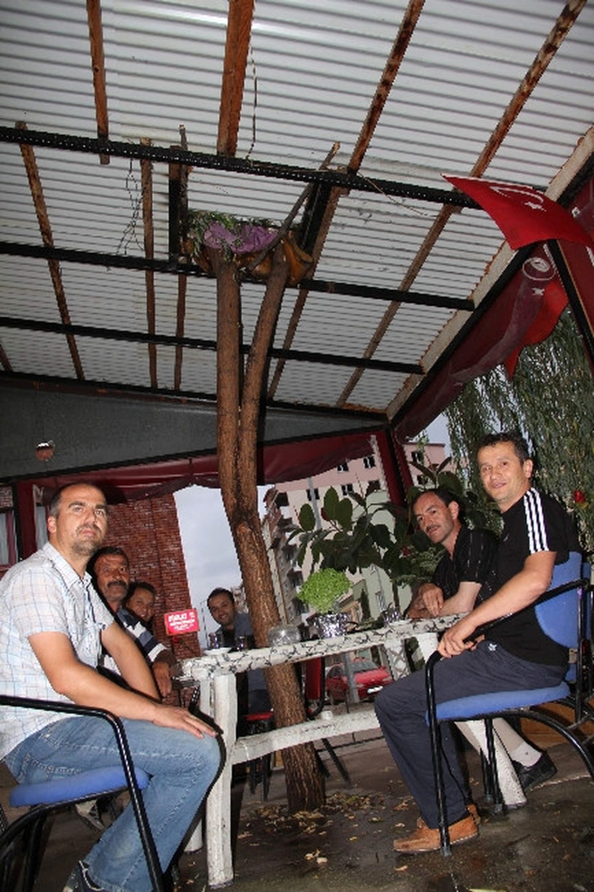 Babasının Diktiği Ağacı Kesmeye Kıyamayınca