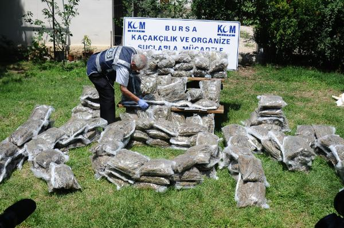 Bursa\'da 180 Kilo Esrar Ele Geçirildi