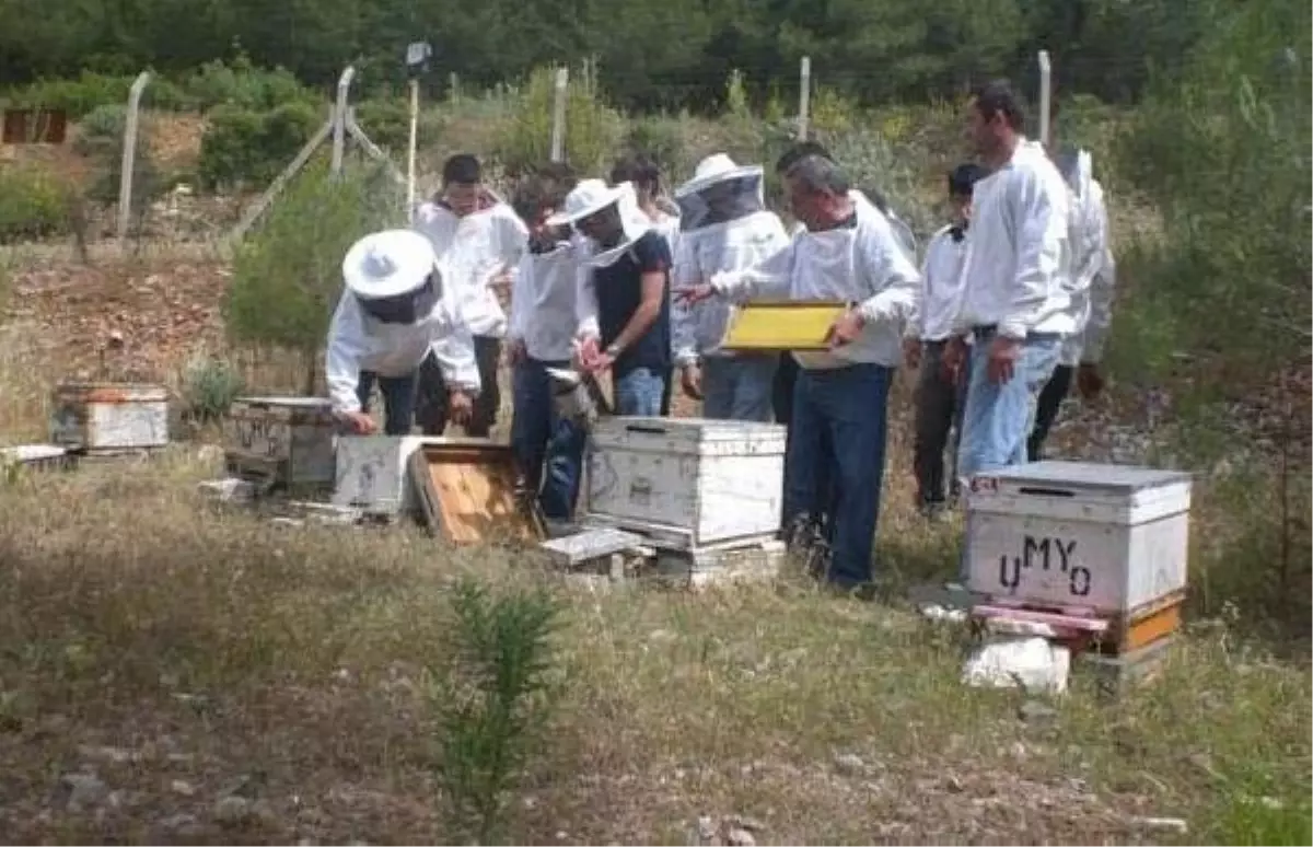 Geleceğin Arıcıları Yetişiyor