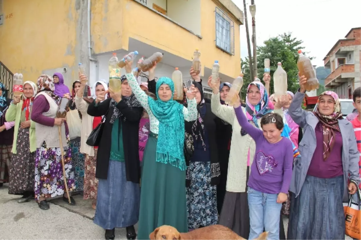 Giresun\'da "Şalvar Davası" Filmi Gerçek Oldu