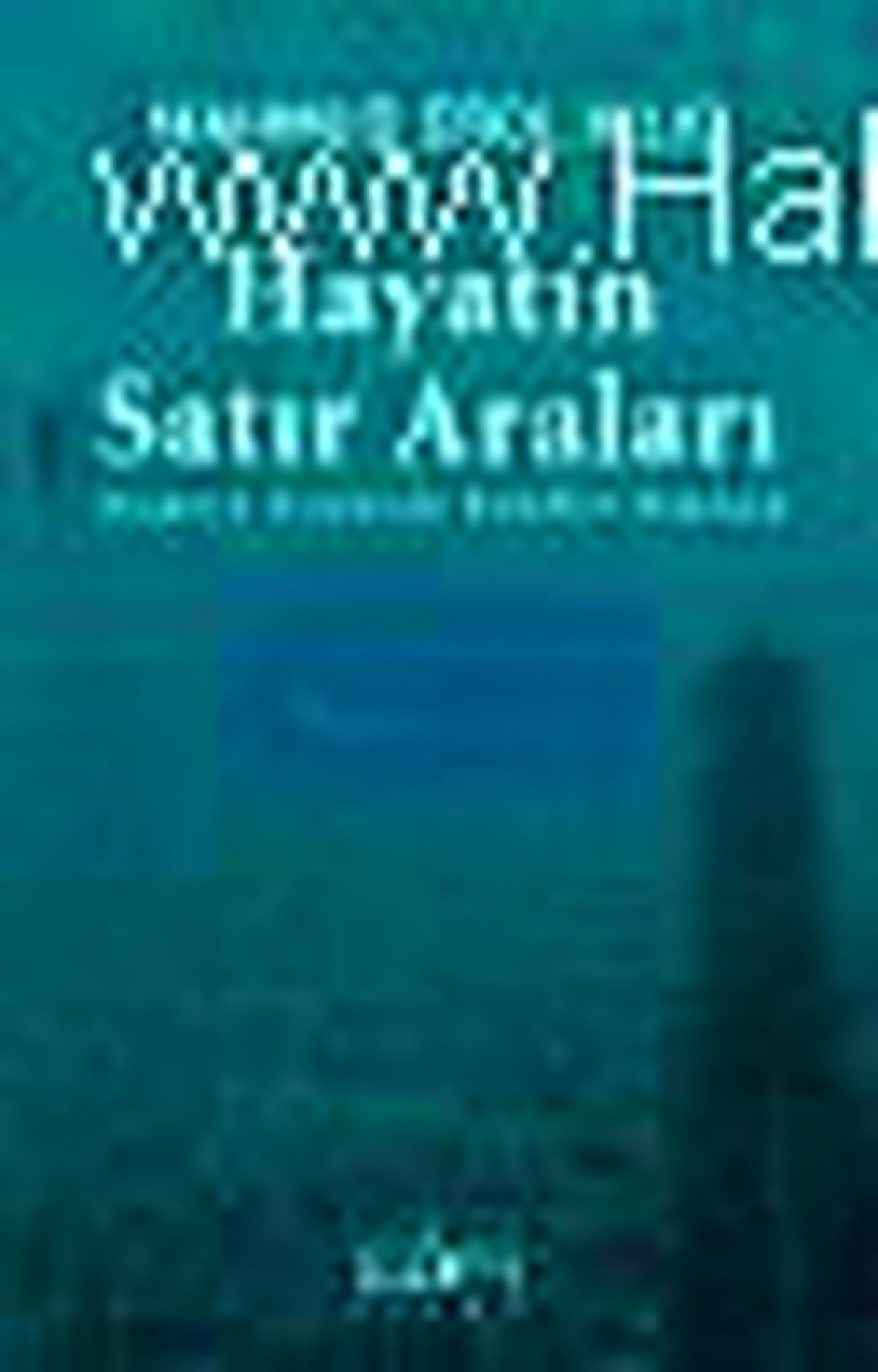 Hayatın Satır Araları Kitabı
