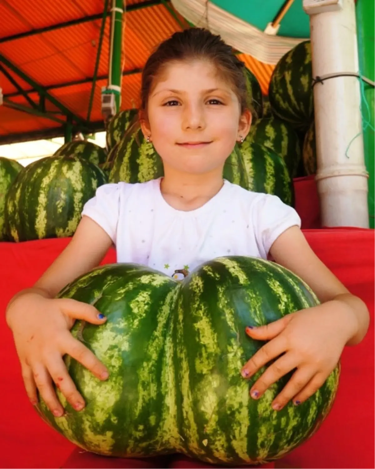 İkiz Karpuz İlgi Odağı Oldu