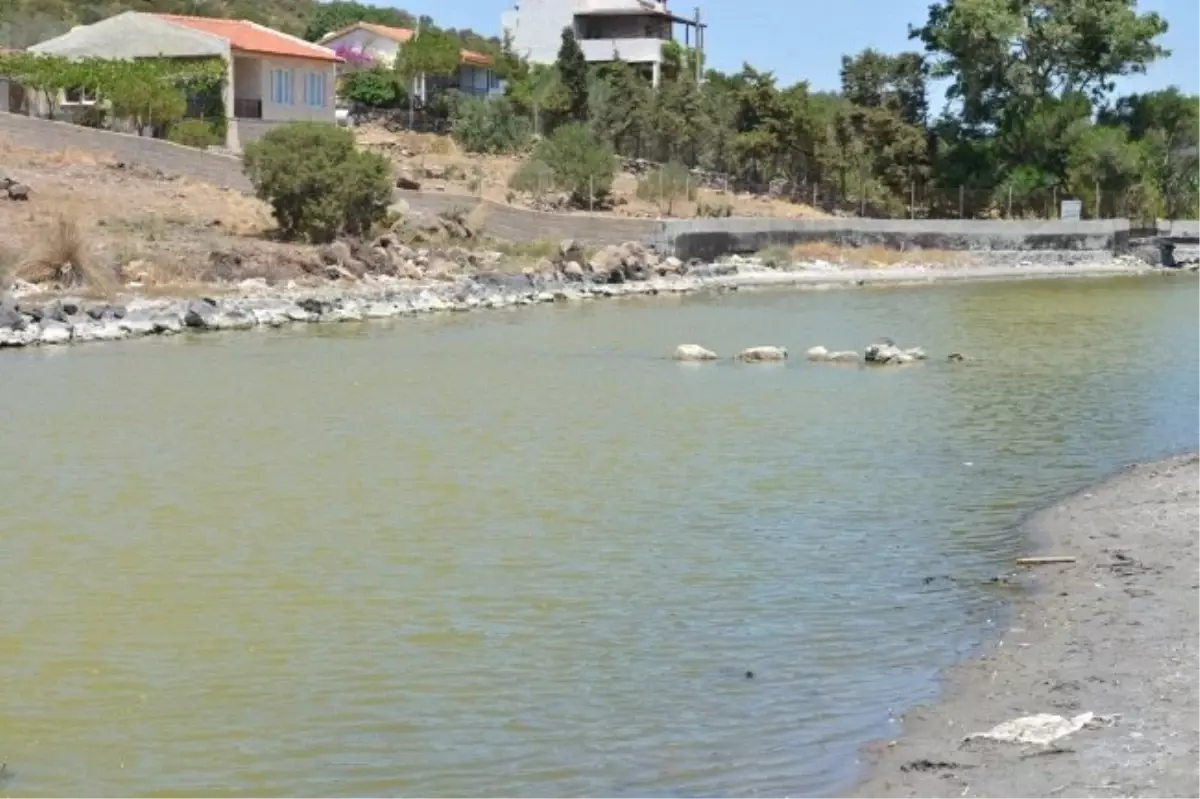 Köylüler Başbakan\'dan Yardım İstiyor