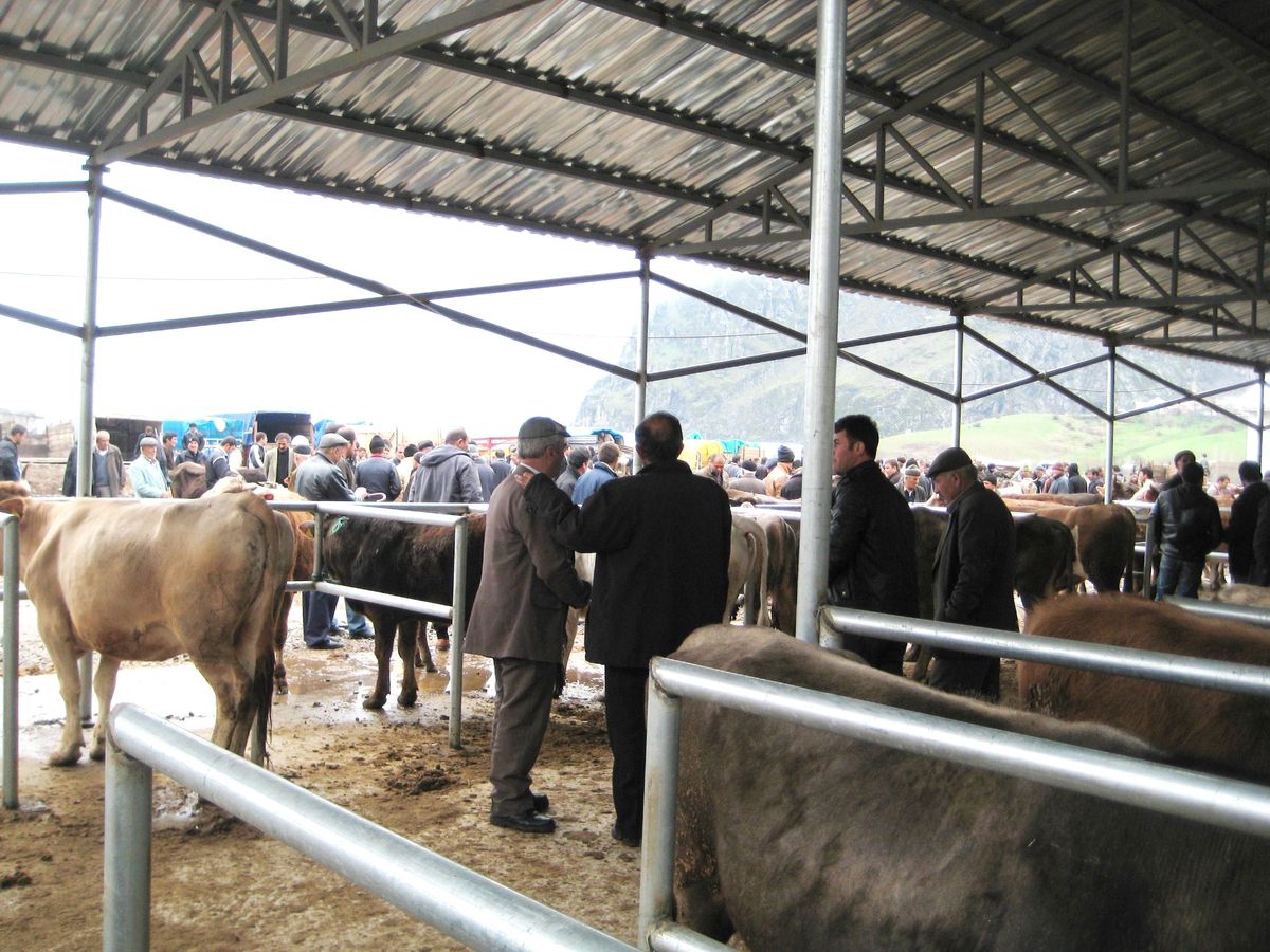 Çubuk\'ta Şap Nedeniyle Kapalı Tutulan Hayvan Pazarı Yeniden Açıldı