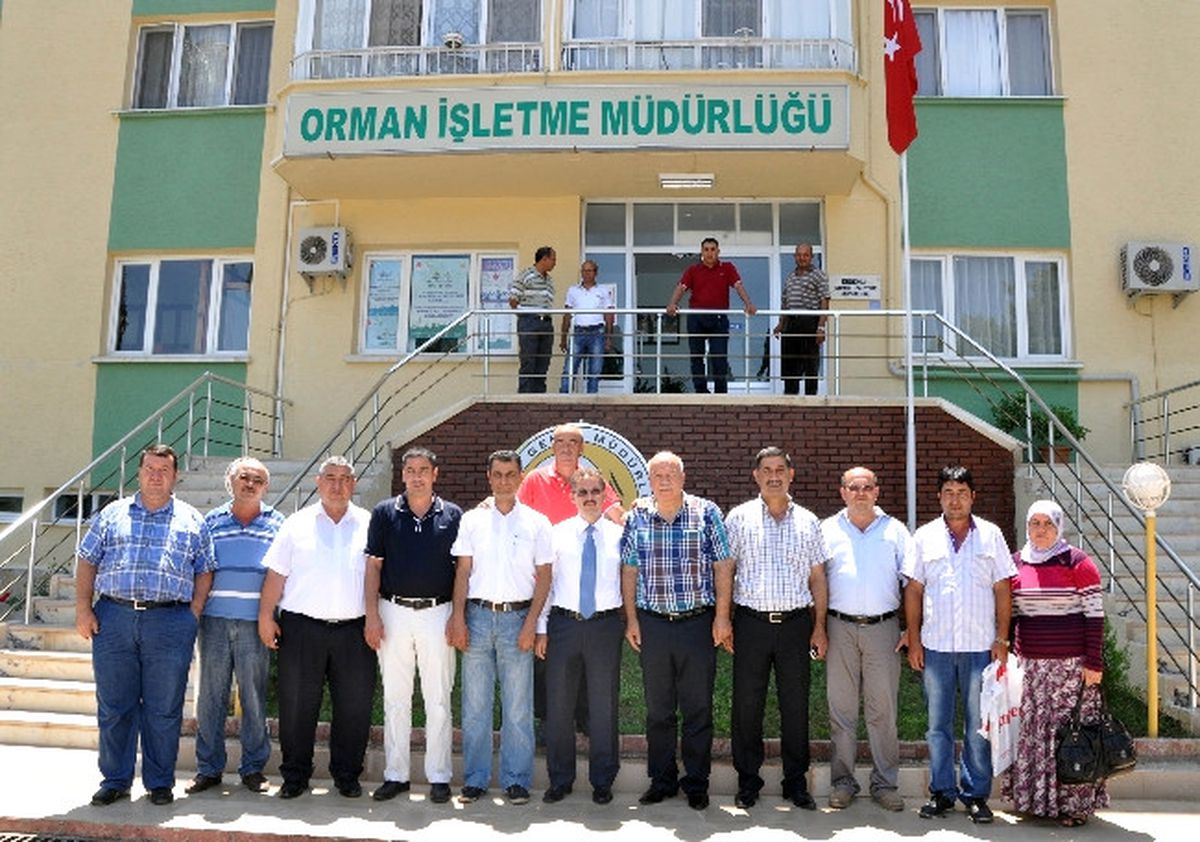 Erdemli\'de 600 Dönüm Arazide Özel Ağaçlandırma Yapılacak