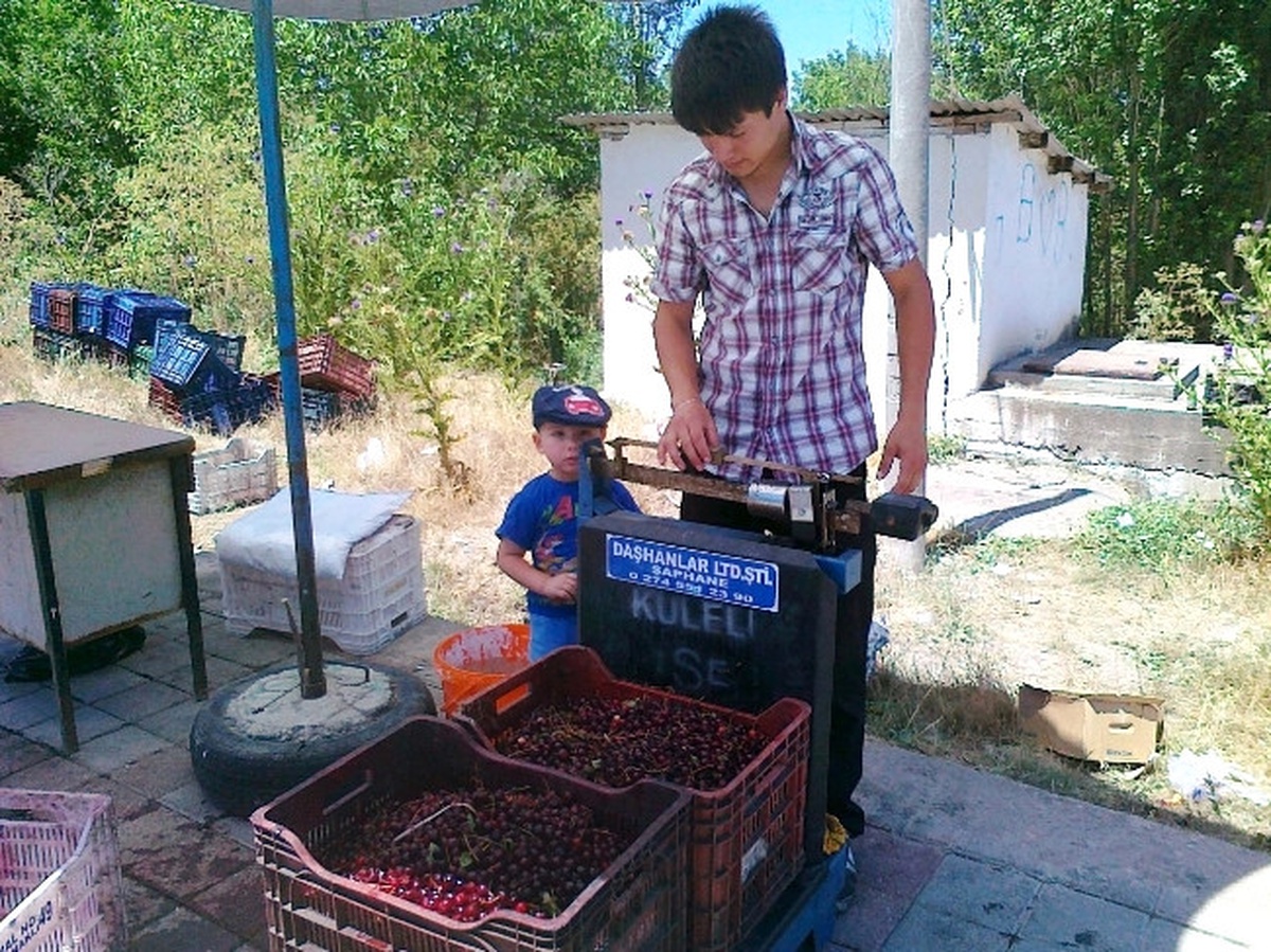 1 Liradan Alınan Vişne 1.70 Liraya Yükseldi