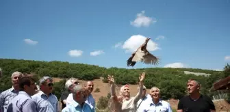 Hattuşa'nın Yeni Süsleri Sülün Kuşları