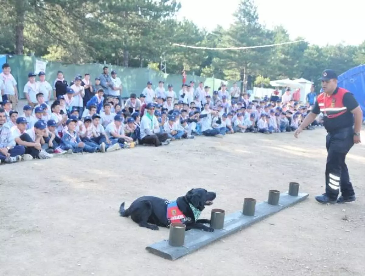 İzci Kampında Jandarmadan Tanıtım Tatbikatı