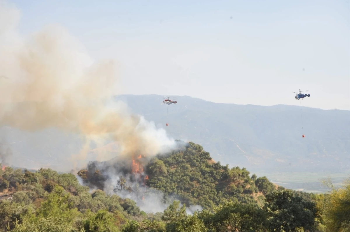 Kuyucak\'taki Orman Yangını Kontrol Altına Alınmaya Çalışılıyor