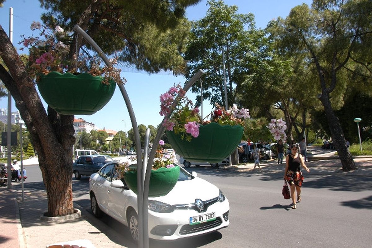 Muğla Sokakları Çiçek Açtı