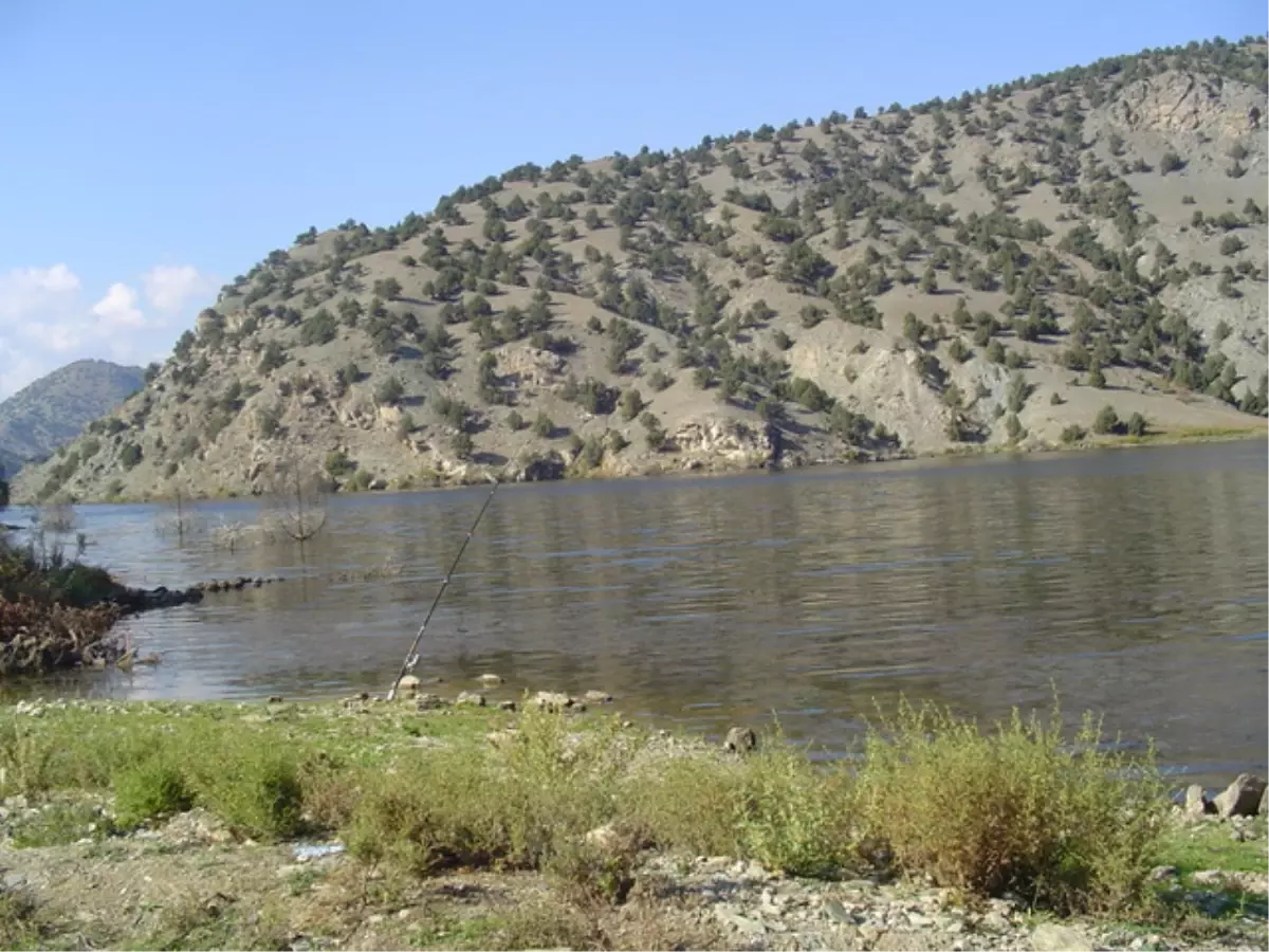 (Özel Haber) Karacaören Barajı\'nda "Sazan" Ölümleri