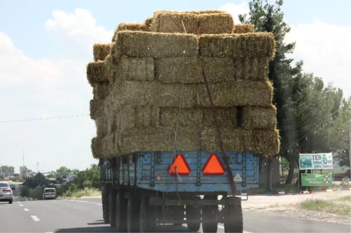 Rekolte Yüksekliği Samana da Yansıdı