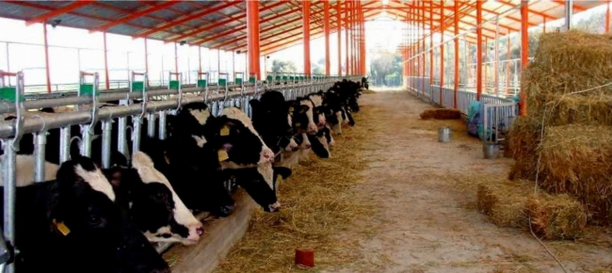 ADÜ Ziraat Fakültesi Ürünleri Satışa Sunuldu