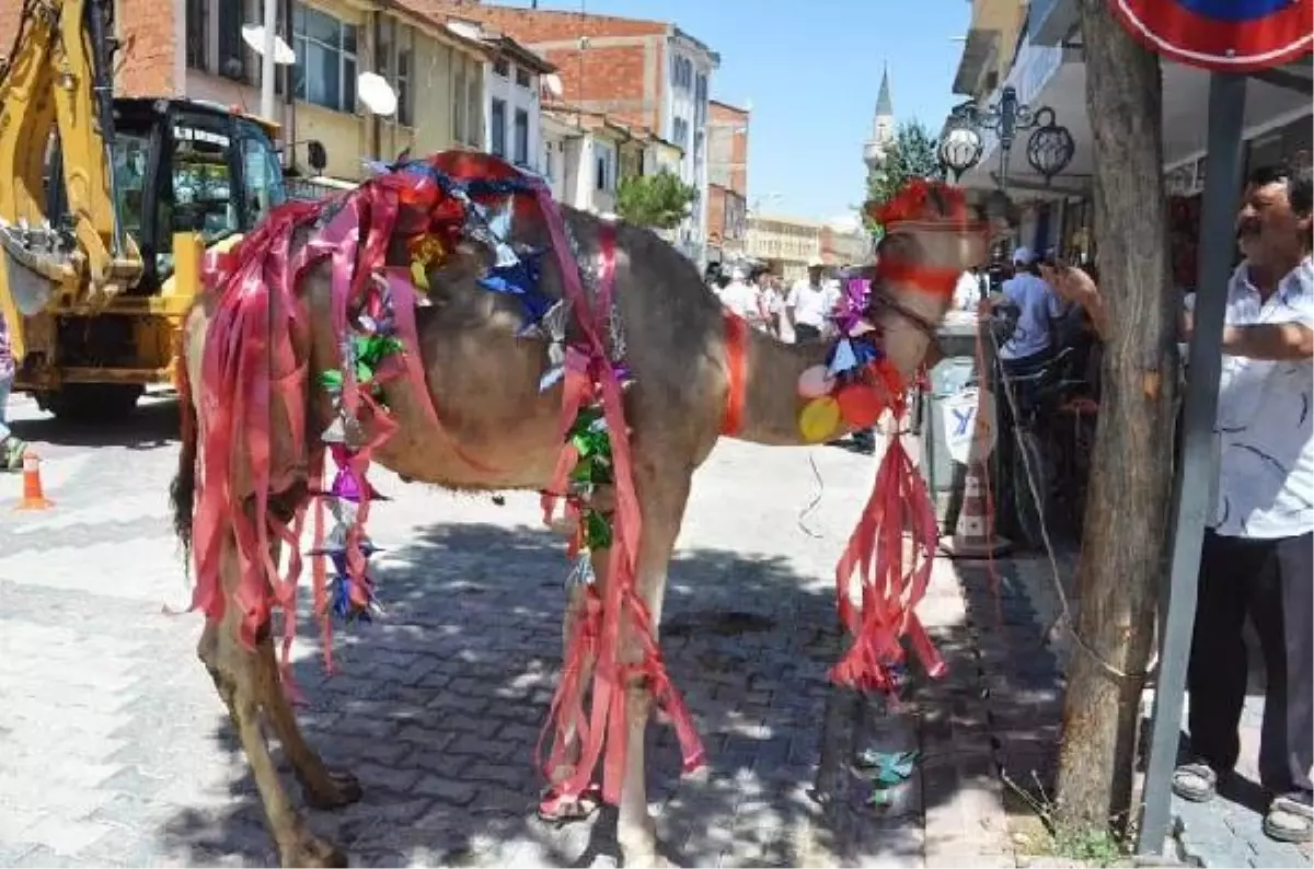 Cadde Çift Yönlü Olunca, Esnaf Deve Kurban Etti