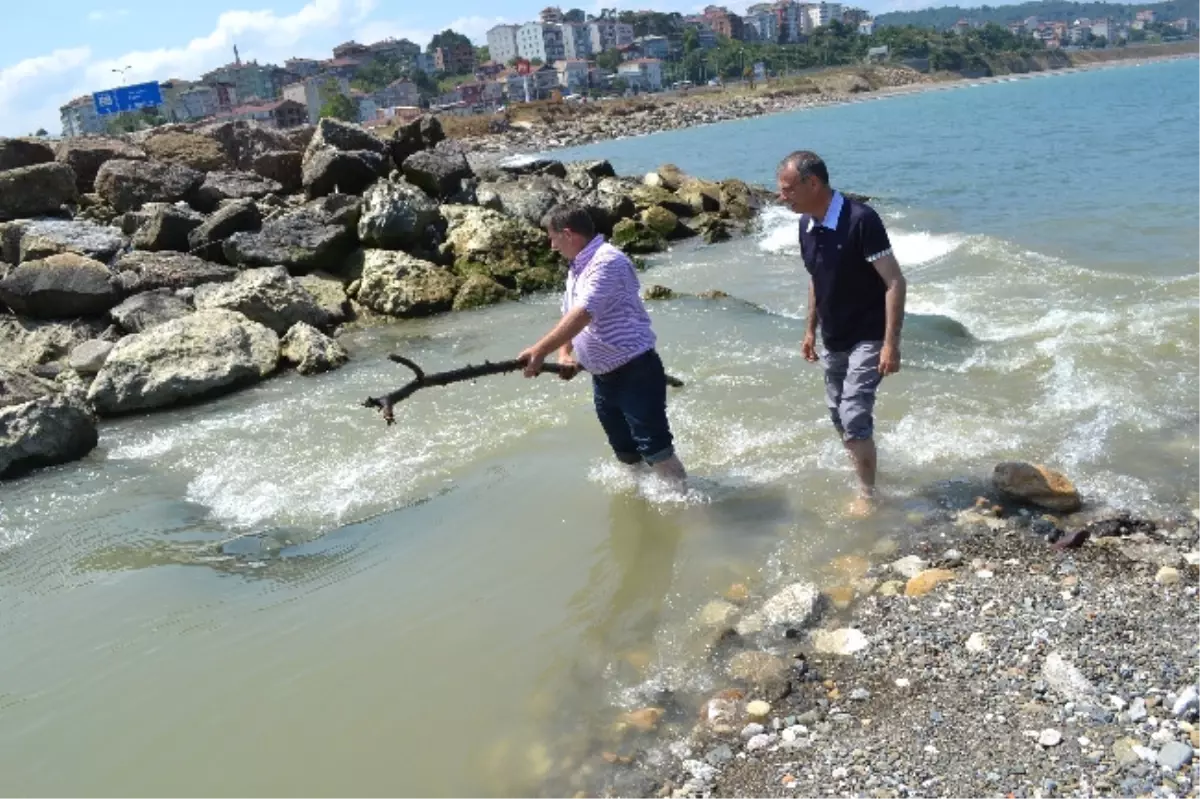 Dere Ağzının Kapanmasına Suya Girerek Tepki Gösterdiler