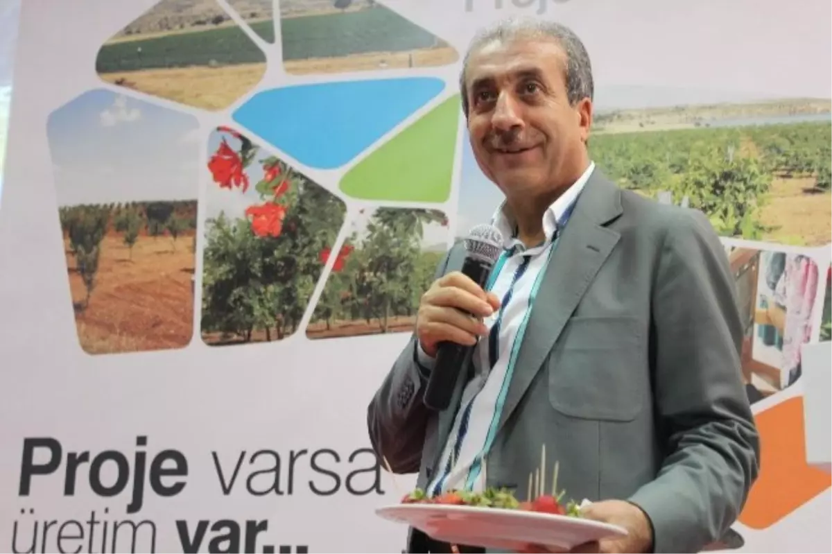 Diyarbakır-Batman-Siirt Kırsal Kalkınma Projeleri İçin 37 Milyon Dolar Bütçe