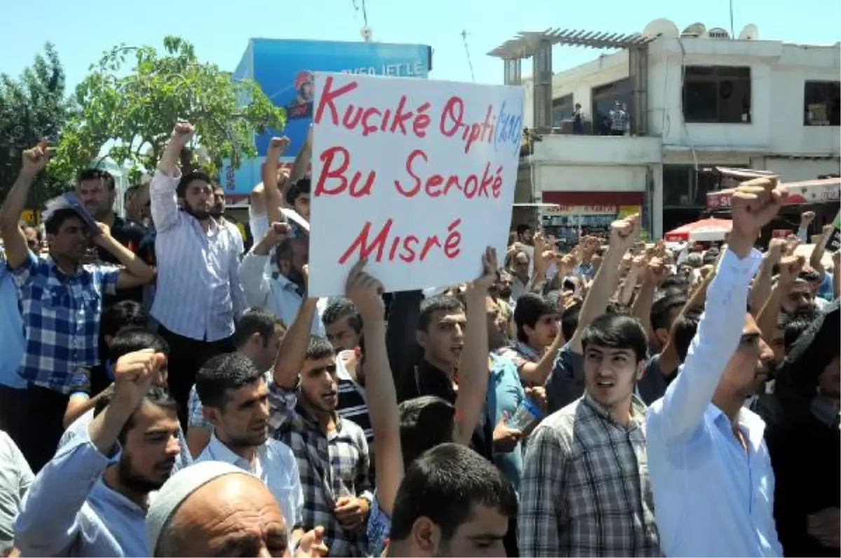 Diyarbakır\'da Mursi\'ye Destek, Darbeye Kınama