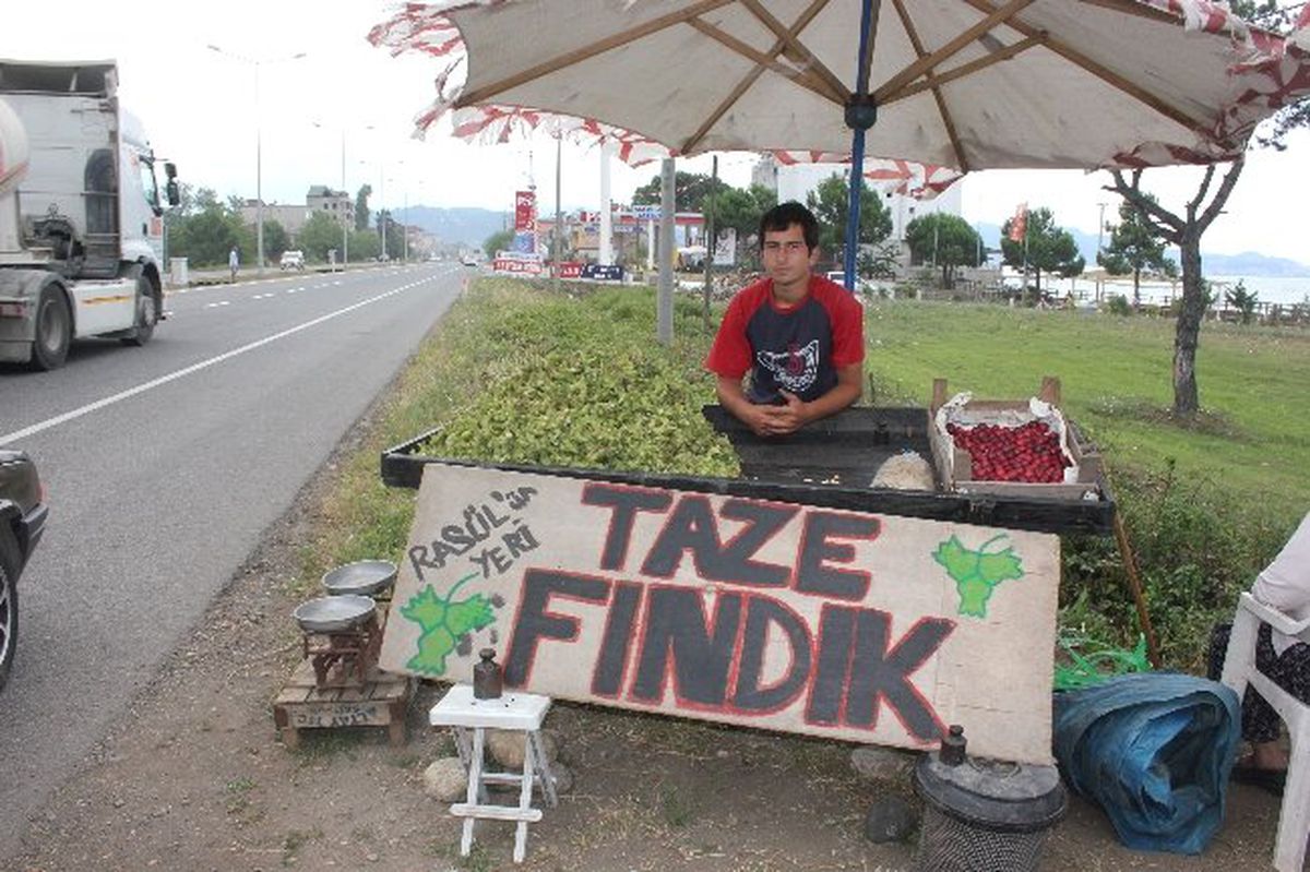 Fatsa\'da Sezonun İlk Fındığı 5 Lira