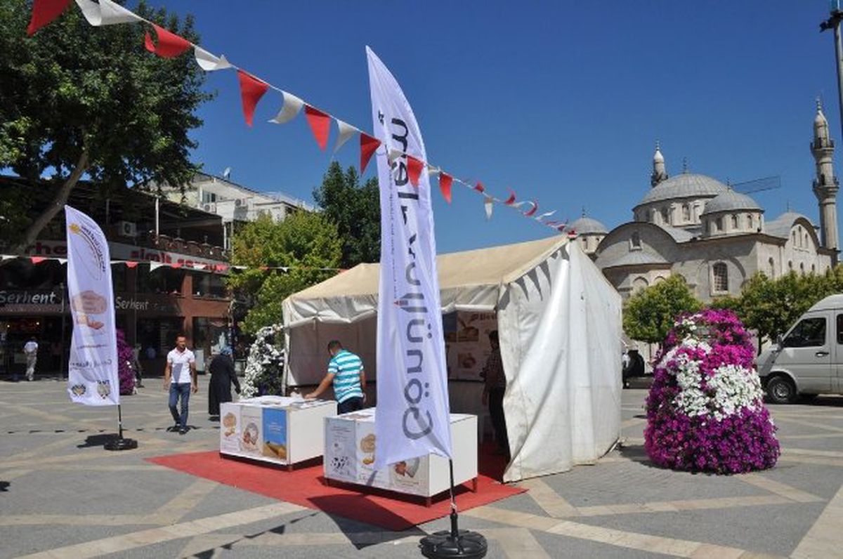 Gönüllü Kalem Derneği, İmza Kampanyası Başlattı