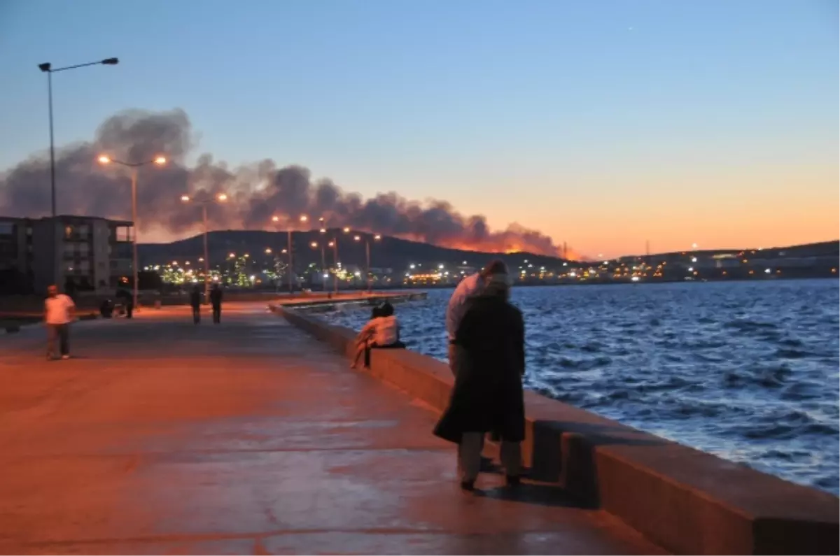 İzmir\'de Orman Yangını