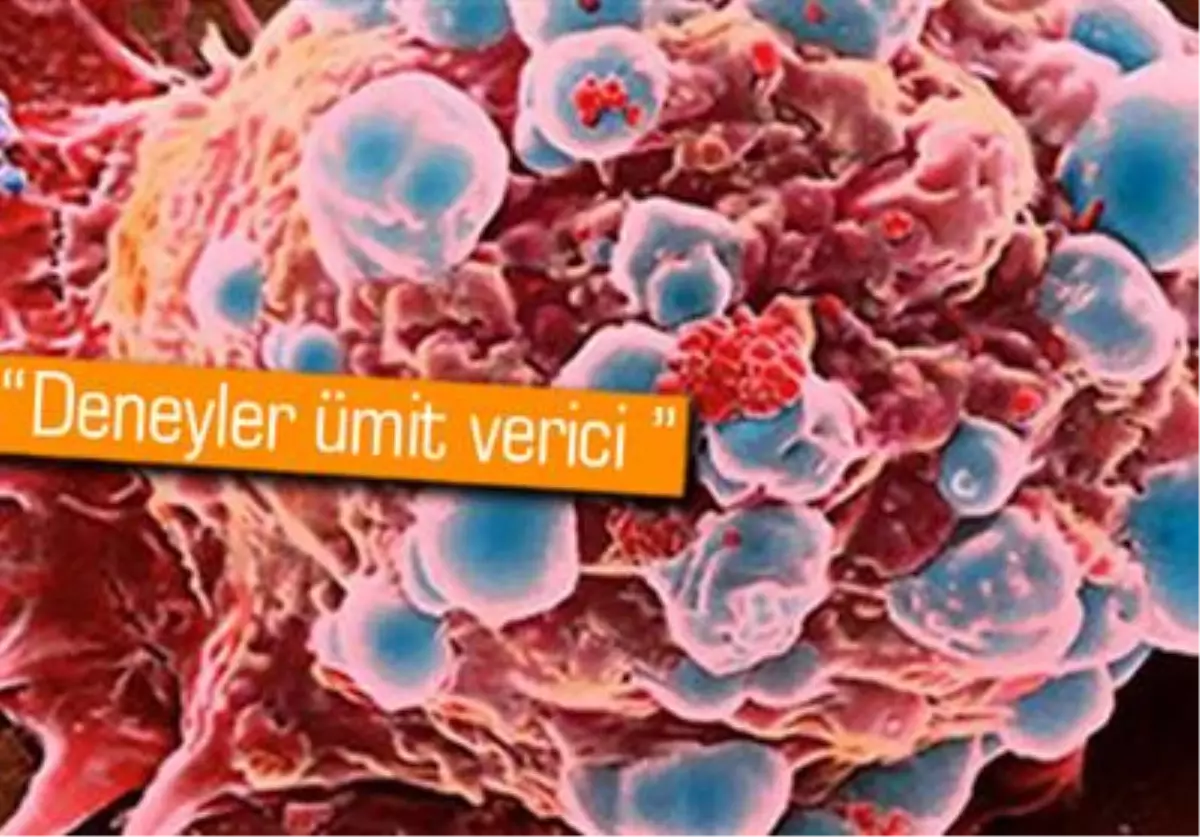 Kansere Yeni Umut Nano İlaç