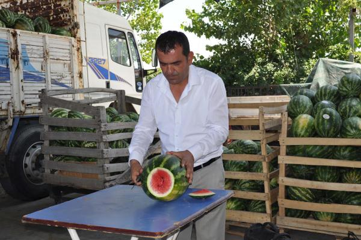 Karpuz Fiyatları Artacak