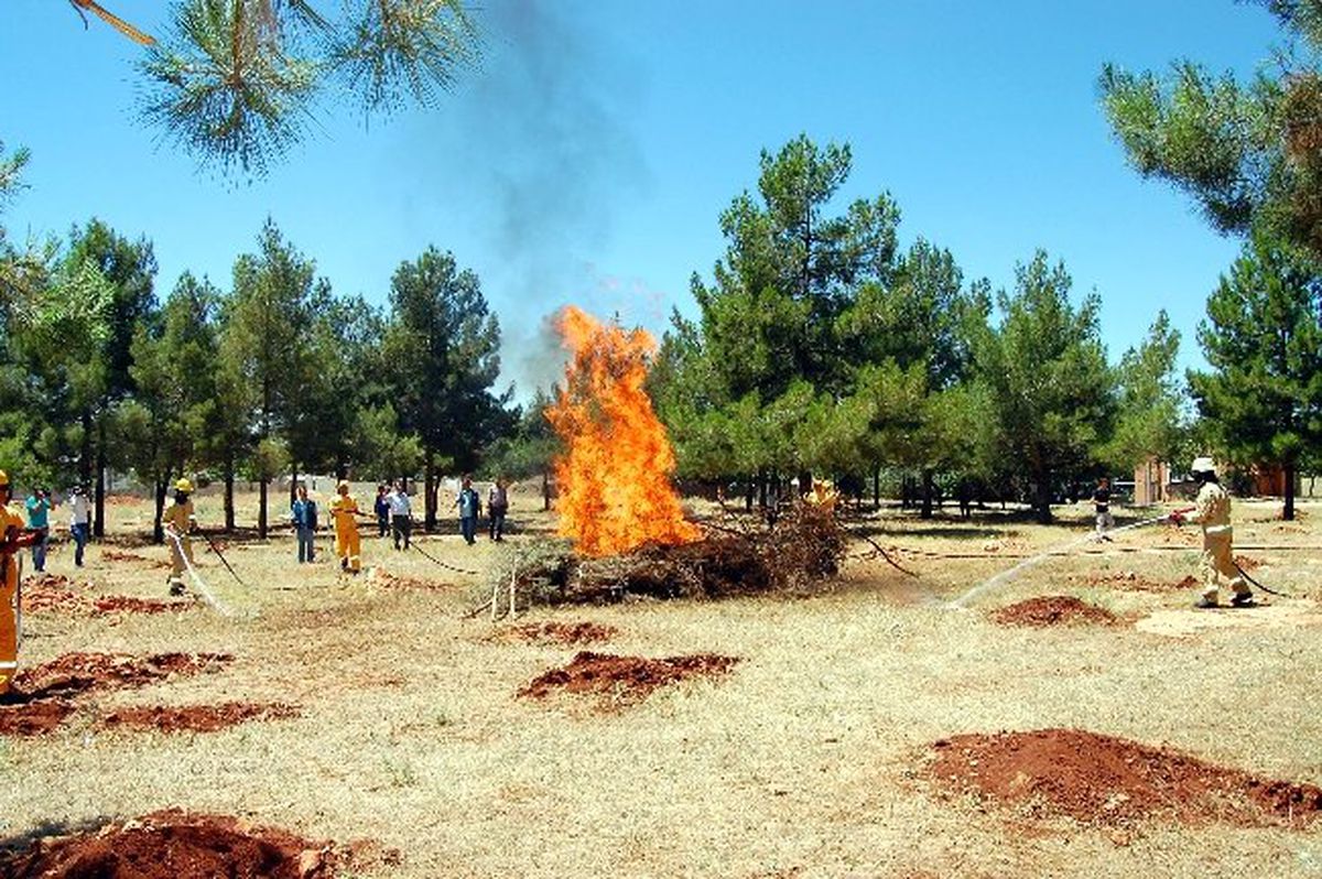 Orman Yangını Tatbikatı Gerçekleştirildi