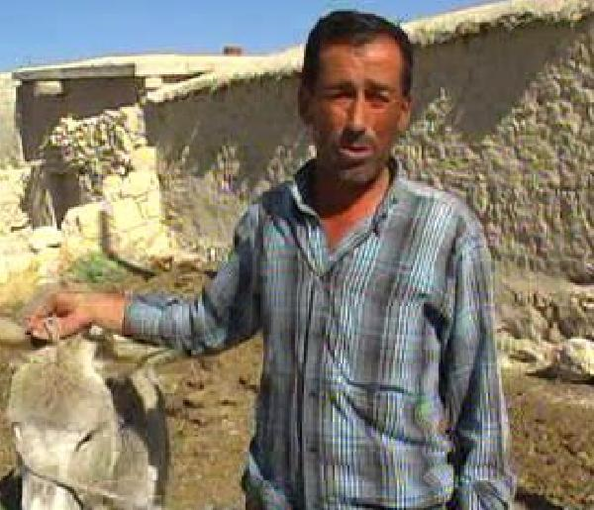 Sabihini Isıran Eşek Kuduz Çıktı