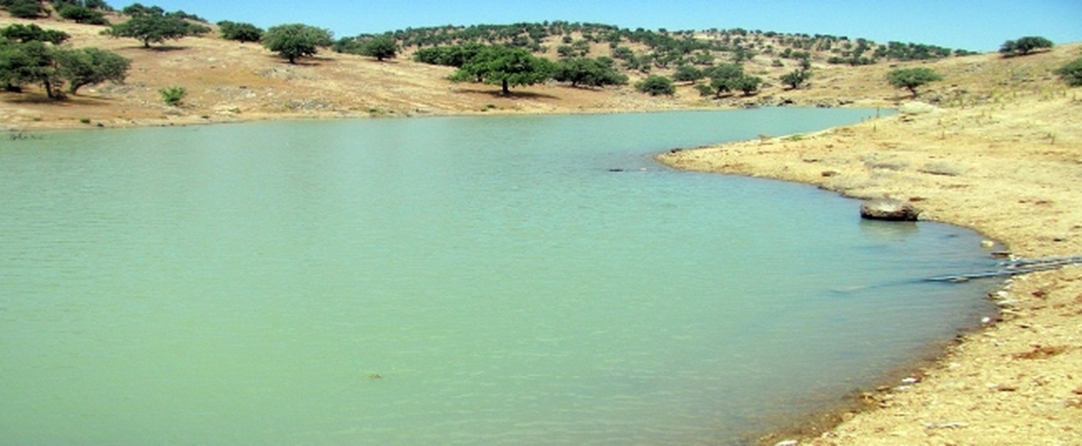 Uşak\'ta Isı Değişikliğine Bağlı Balık Ölümleri