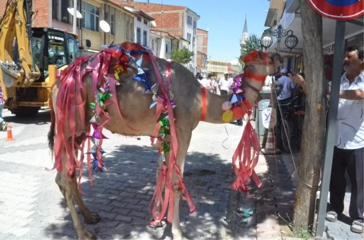 Yol İçin Deve Kurban Ettiler