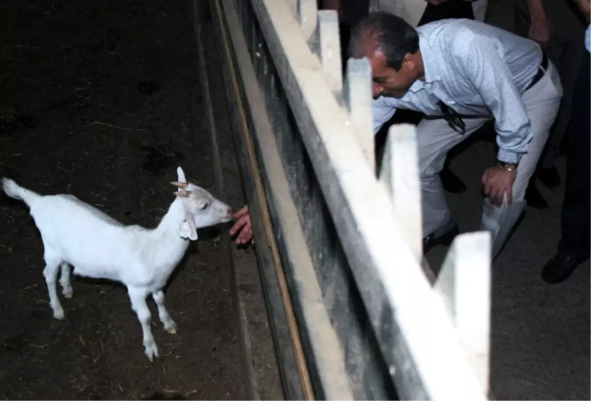 Bakan Eker Rani Çiftliğini Gezdi