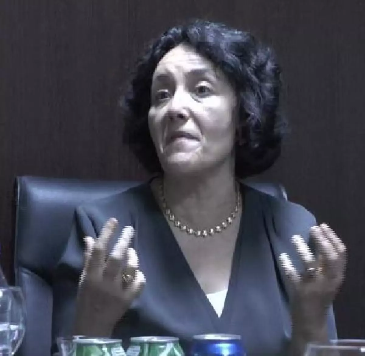 Zerrougui, Suriyeli Sığınmacıları Ziyaret Etti