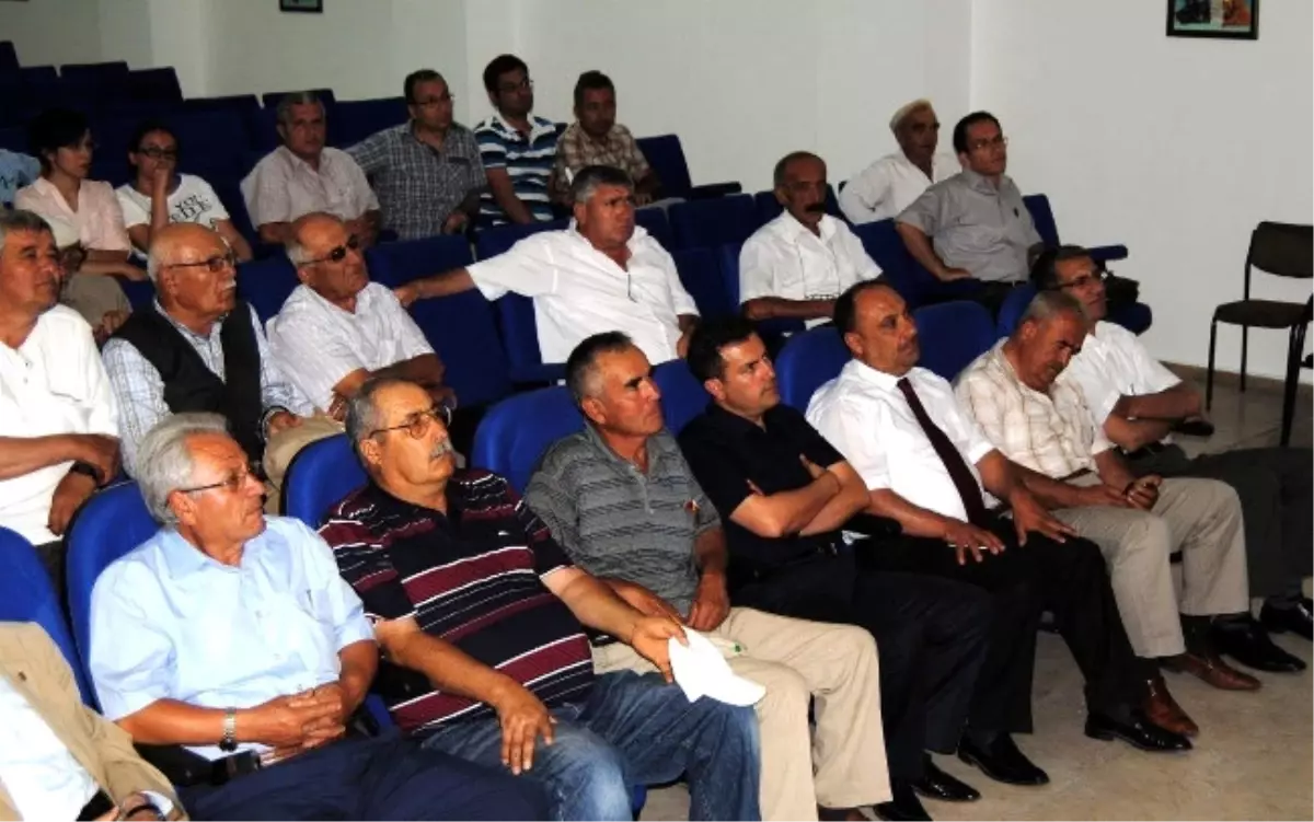 Ceviz'de Kaolin Kullanımı Öneriliyor