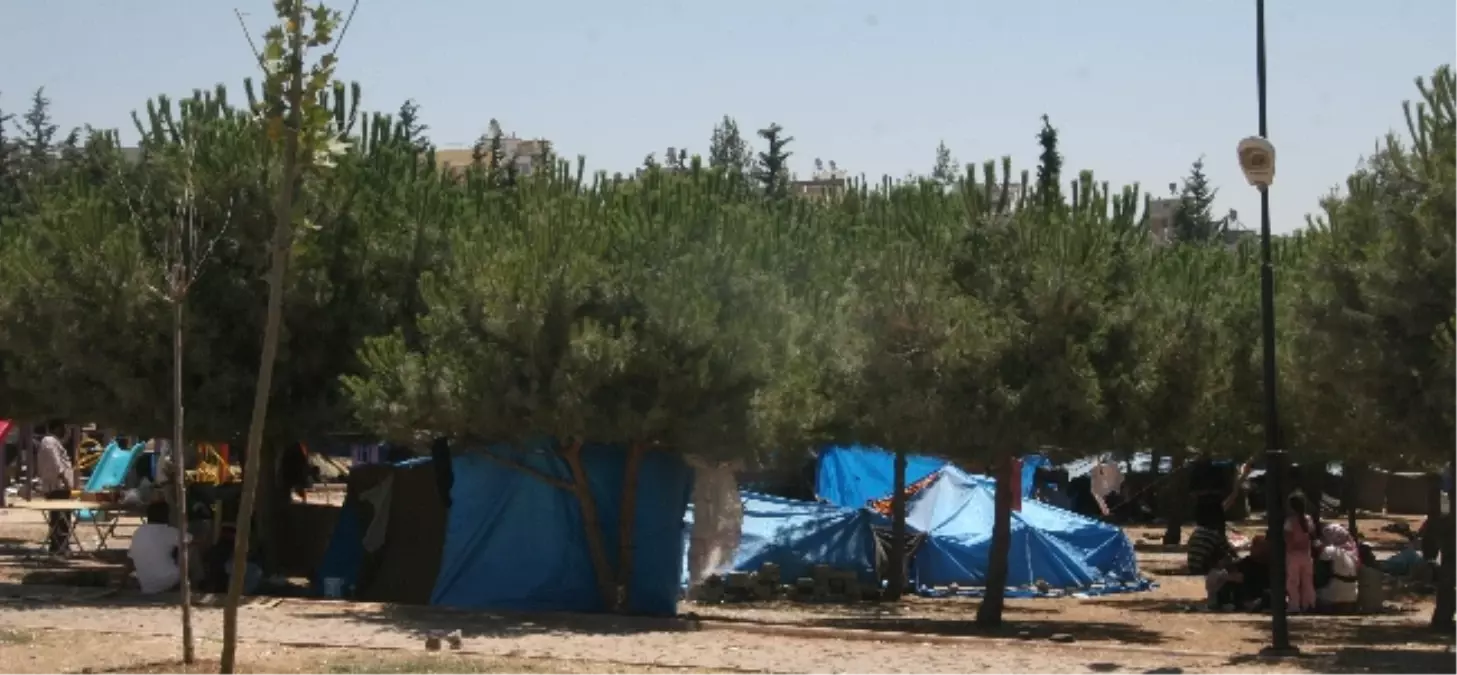 Parkta Kalan Suriyeliler Çadır Kente Gönderiliyor