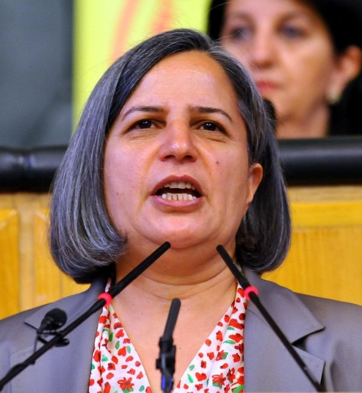 BDP Genel Başkan Yardımcısı Kışanak Açıklaması