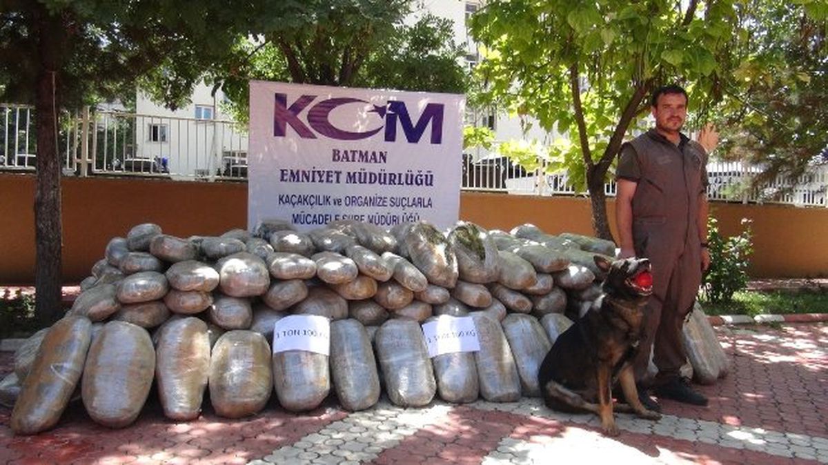 Dedektör Köpek Tapi 5 Yılda 7 Ton Uyuşturucu Yakalattı
